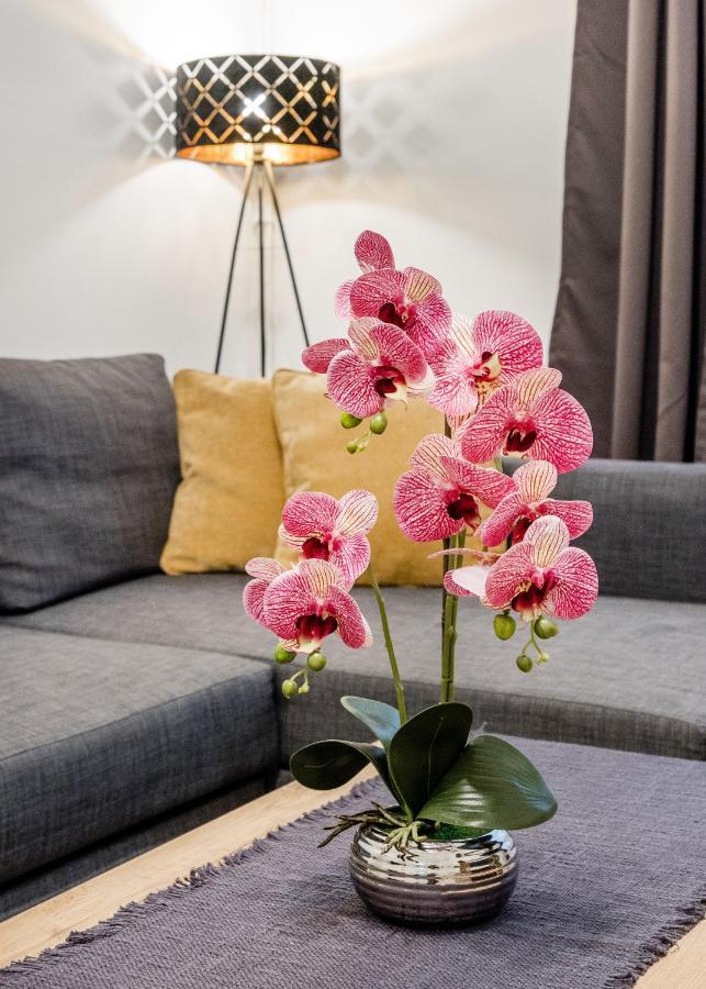 Izabella Apartment 布达佩斯 外观 照片